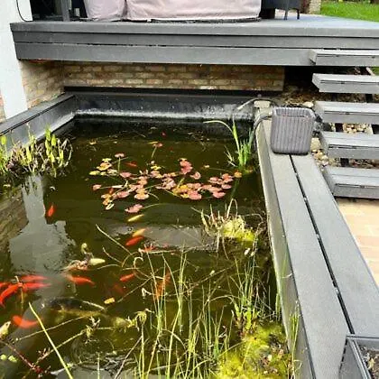 Rozsas Vendeghaz 펜션 *